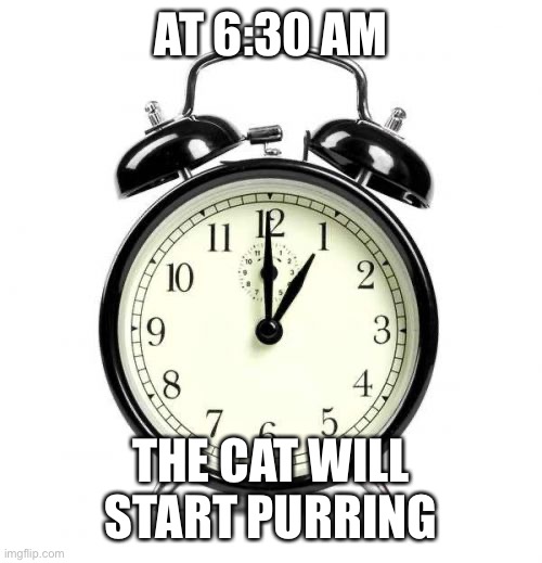 Alarm Clock Meme | AT 6:30 AM THE CAT WILL START PURRING | image tagged in memes,alarm clock | made w/ Imgflip meme maker