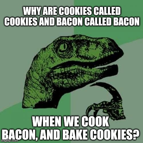 Philosoraptor | WHY ARE COOKIES CALLED COOKIES AND BACON CALLED BACON; WHEN WE COOK BACON, AND BAKE COOKIES? | image tagged in memes,philosoraptor,cookies,bacon,philosophy,truth | made w/ Imgflip meme maker