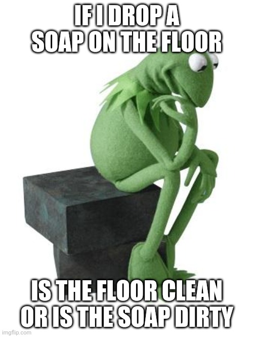 Clean or Dirty? | IF I DROP A SOAP ON THE FLOOR; IS THE FLOOR CLEAN OR IS THE SOAP DIRTY | image tagged in philosophy kermit | made w/ Imgflip meme maker