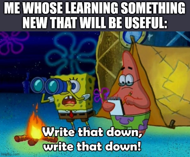 write that down | ME WHOSE LEARNING SOMETHING NEW THAT WILL BE USEFUL: | image tagged in write that down | made w/ Imgflip meme maker