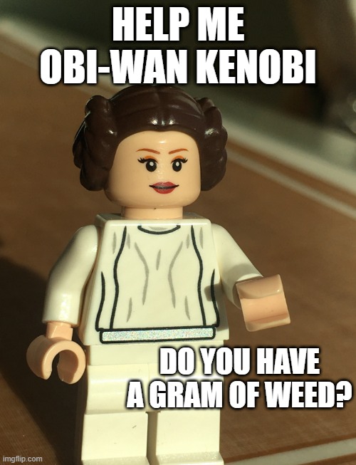 Leia needs a light | HELP ME OBI-WAN KENOBI; DO YOU HAVE A GRAM OF WEED? | image tagged in legeah | made w/ Imgflip meme maker