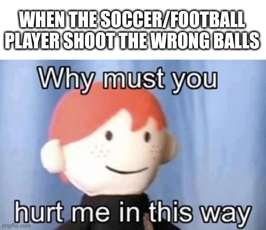 why must you hurt me this way | WHEN THE SOCCER/FOOTBALL PLAYER SHOOT THE WRONG BALLS | image tagged in why must you hurt me this way | made w/ Imgflip meme maker