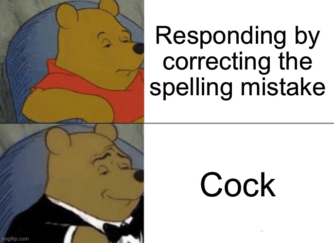 Tuxedo Winnie The Pooh Meme | Responding by correcting the spelling mistake Cock | image tagged in memes,tuxedo winnie the pooh | made w/ Imgflip meme maker