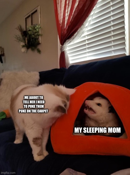 Screaming Possum | ME ABOUT TO TELL HER I NEED TO PUKE THEM PUKE ON THE CARPET; MY SLEEPING MOM | image tagged in screaming possum | made w/ Imgflip meme maker