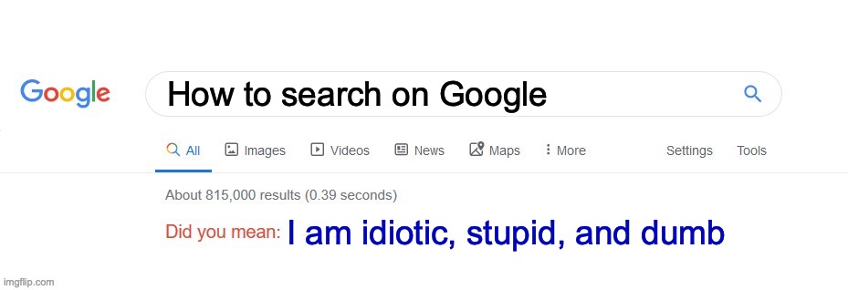 Did you mean? | How to search on Google; I am idiotic, stupid, and dumb | image tagged in did you mean | made w/ Imgflip meme maker