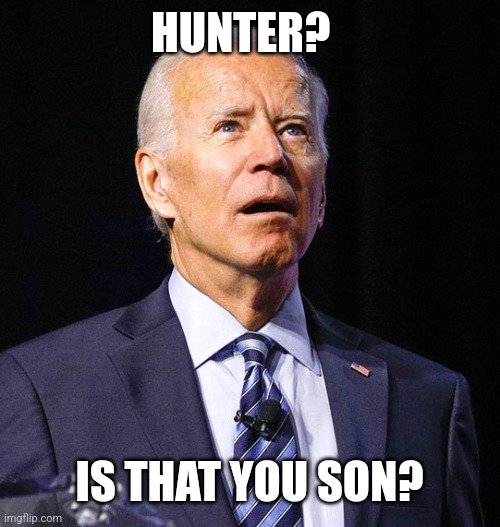 Joe Biden | HUNTER? IS THAT YOU SON? | image tagged in joe biden | made w/ Imgflip meme maker