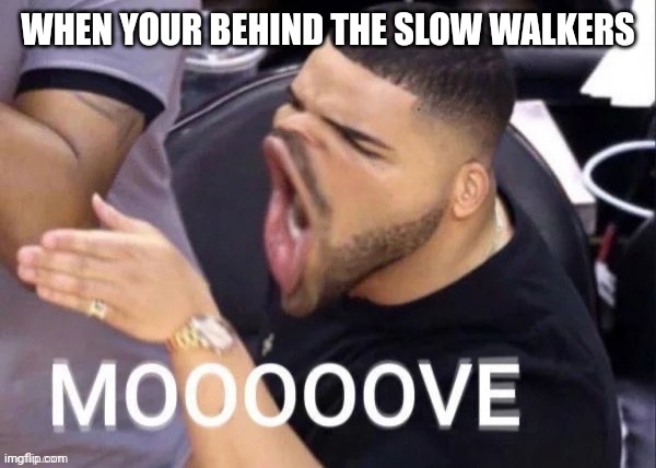 Relatable... | WHEN YOUR BEHIND THE SLOW WALKERS | image tagged in mooooove,funny,funny memes,fun,memes,relatable memes | made w/ Imgflip meme maker