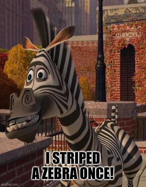 marty | I STRIPED A ZEBRA ONCE! | image tagged in marty | made w/ Imgflip meme maker