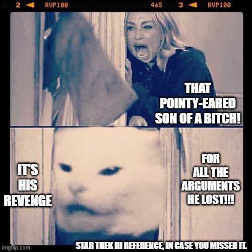 cat lady discussion the end | IT'S HIS REVENGE; THAT POINTY-EARED SON OF A BITCH! FOR ALL THE 
ARGUMENTS HE LOST!!! STAR TREK III REFERENCE, IN CASE YOU MISSED IT. | image tagged in woman cat shining,star trek,spock,mr spock,dr mccoy,bones mccoy | made w/ Imgflip meme maker