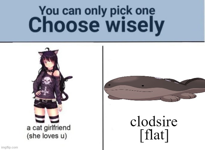 clod the sire | [flat]; clodsire | image tagged in choose wisely,clodsire | made w/ Imgflip meme maker