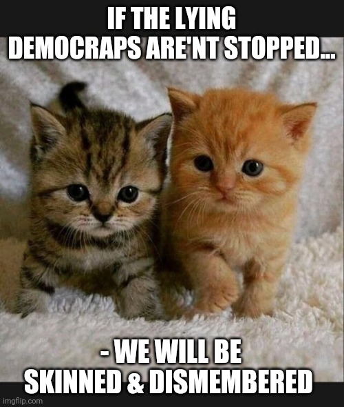 Libs Hate Kitties | IF THE LYING DEMOCRAPS ARE'NT STOPPED... - WE WILL BE SKINNED & DISMEMBERED | image tagged in stop,lying,democrats,libtards,you're fired | made w/ Imgflip meme maker