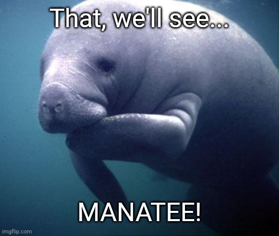 Manatee | That, we'll see... MANATEE! | image tagged in manatee | made w/ Imgflip meme maker