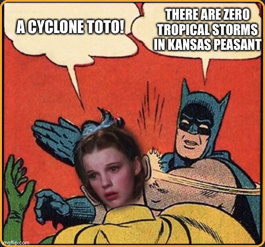 Idiot Dorothy | THERE ARE ZERO TROPICAL STORMS IN KANSAS PEASANT; A CYCLONE TOTO! | image tagged in wizard of oz,toto,batman slapping robin,dorothy,cyclone | made w/ Imgflip meme maker
