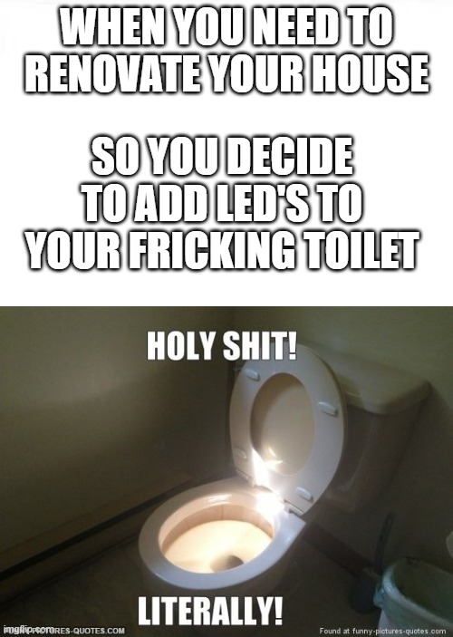 changes were made....much better | WHEN YOU NEED TO RENOVATE YOUR HOUSE; SO YOU DECIDE TO ADD LED'S TO YOUR FRICKING TOILET | image tagged in wow,absolutely barbaric,insane,funny memes | made w/ Imgflip meme maker