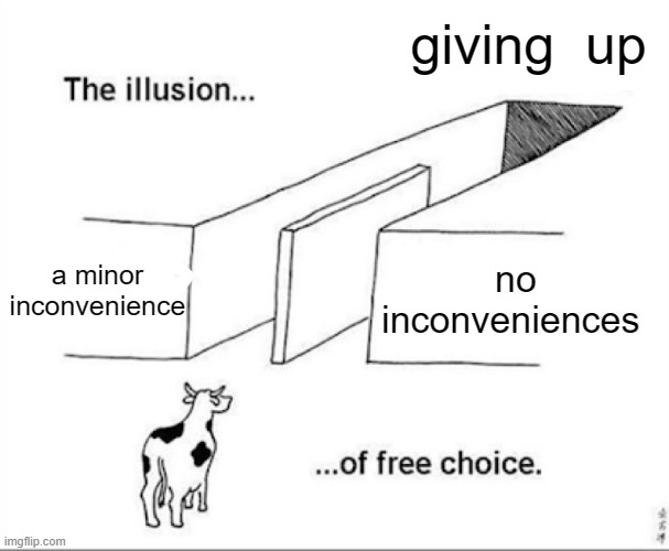 Illusion of free choice | giving  up; a minor inconvenience; no inconveniences | image tagged in illusion of free choice | made w/ Imgflip meme maker