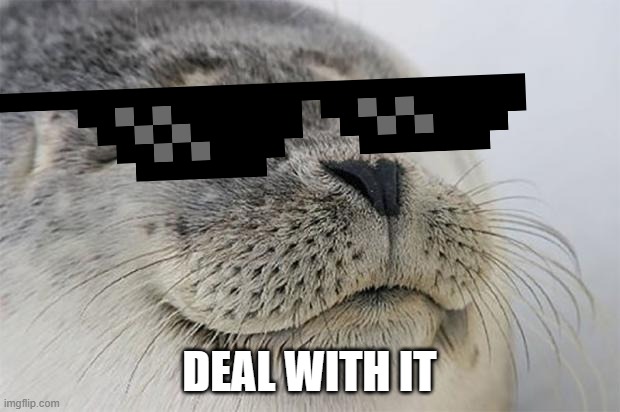 i ran out of meme ideas | DEAL WITH IT | image tagged in memes,satisfied seal,mlg,deal with it | made w/ Imgflip meme maker