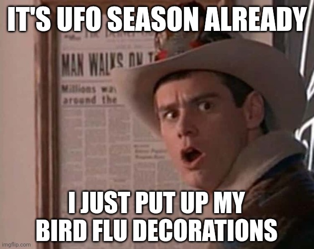 I don't believe it's aliens but believe what you want. | IT'S UFO SEASON ALREADY; I JUST PUT UP MY BIRD FLU DECORATIONS | image tagged in memes | made w/ Imgflip meme maker