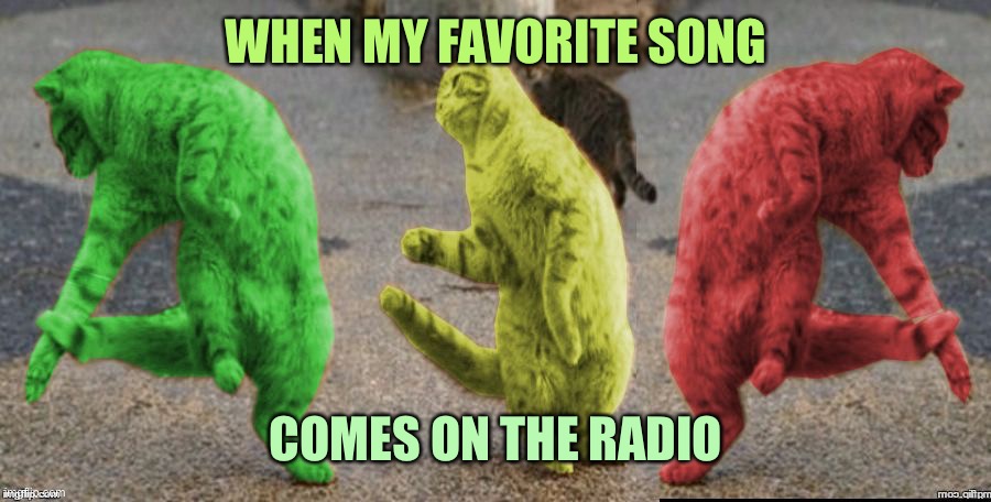 Three Dancing RayCats | WHEN MY FAVORITE SONG; COMES ON THE RADIO | image tagged in three dancing raycats,memes | made w/ Imgflip meme maker