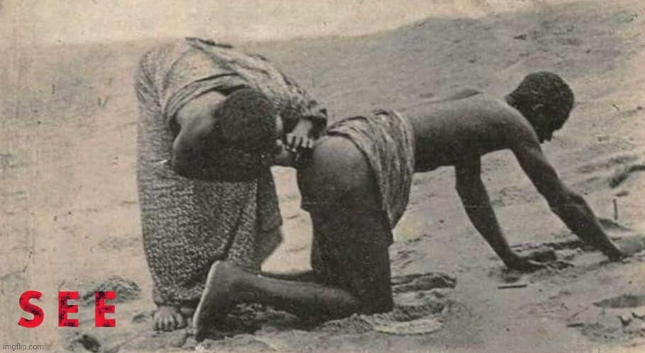 7avya7.jpg
