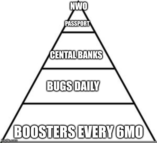 NWO PYRAMID | NWO; PASSPORT; CENTAL BANKS; BUGS DAILY; BOOSTERS EVERY 6MO | image tagged in nwo | made w/ Imgflip meme maker