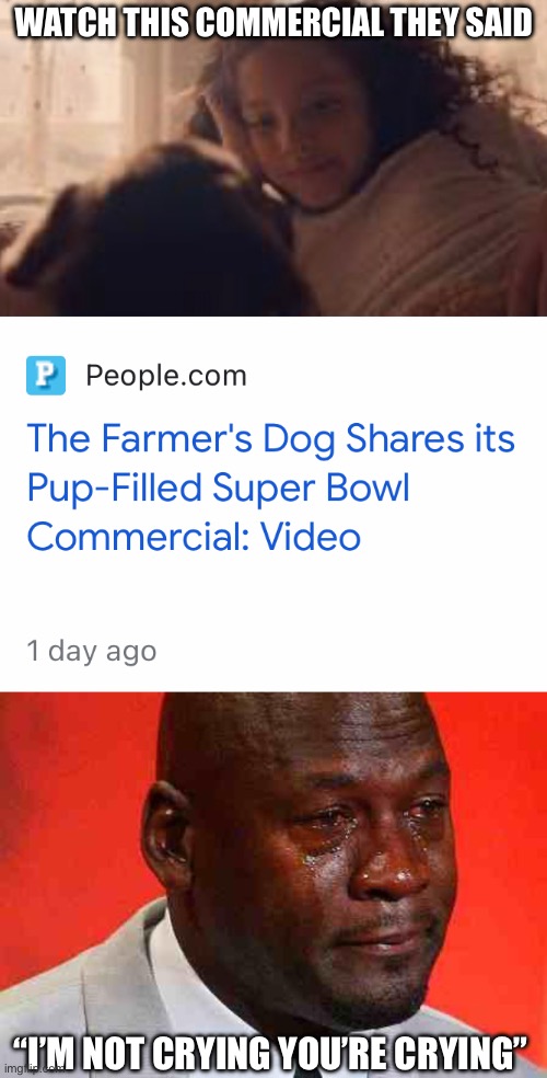 Super Bowl Dog Commercial | WATCH THIS COMMERCIAL THEY SAID; “I’M NOT CRYING YOU’RE CRYING” | image tagged in crying michael jordan,dog,commercial,crying,we love dogs | made w/ Imgflip meme maker