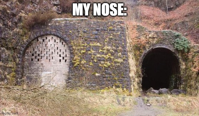 MY NOSE: | made w/ Imgflip meme maker