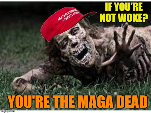 IF YOU'RE NOT WOKE? YOU'RE THE MAGA DEAD | made w/ Imgflip meme maker