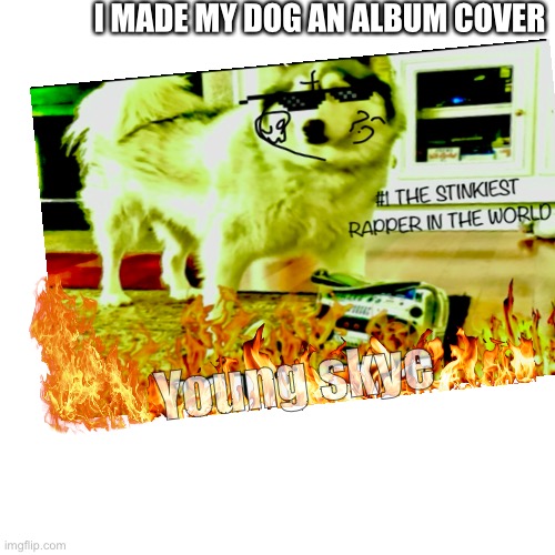 Cute rapper dog | I MADE MY DOG AN ALBUM COVER; Young skye | image tagged in the,doggy,got,bars | made w/ Imgflip meme maker