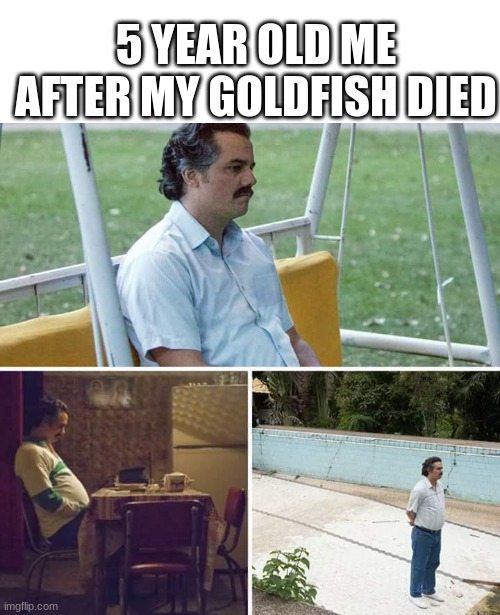 Such Sad | 5 YEAR OLD ME AFTER MY GOLDFISH DIED | image tagged in memes,sad pablo escobar | made w/ Imgflip meme maker