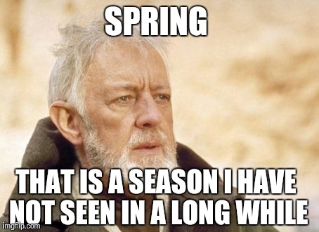 Obi Wan Kenobi | SPRING THAT IS A SEASON I HAVE NOT SEEN IN A LONG WHILE | image tagged in memes,obi wan kenobi | made w/ Imgflip meme maker