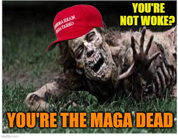 The MAGA dead | YOU'RE NOT WOKE? YOU'RE THE MAGA DEAD | image tagged in maga,woke,asleep,dead,politics | made w/ Imgflip meme maker