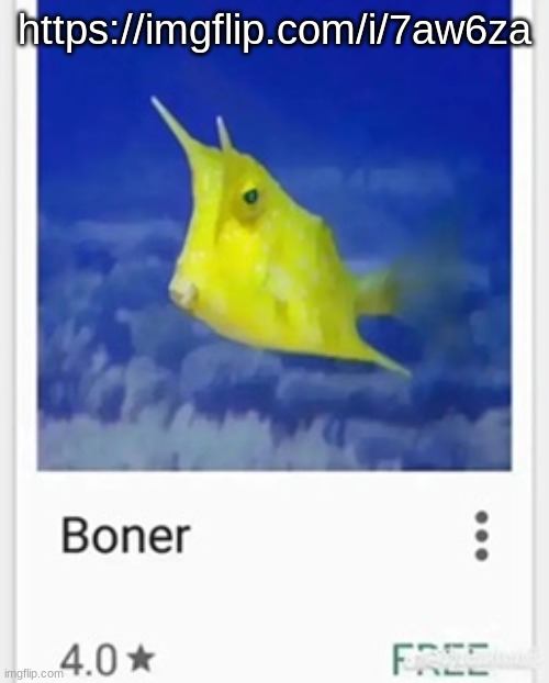 Boner | https://imgflip.com/i/7aw6za | image tagged in boner | made w/ Imgflip meme maker