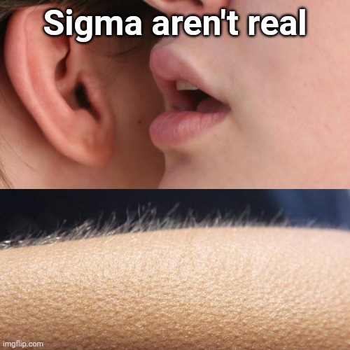 Whisper and Goosebumps | Sigma aren't real | image tagged in whisper and goosebumps | made w/ Imgflip meme maker