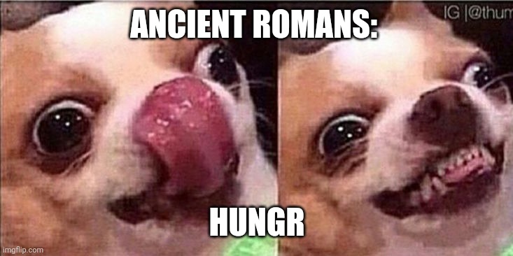 Hungry dog | ANCIENT ROMANS: HUNGR | image tagged in hungry dog | made w/ Imgflip meme maker