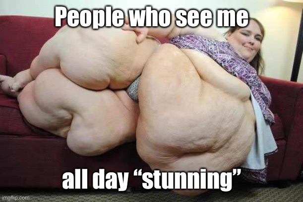 fat girl | People who see me all day “stunning” | image tagged in fat girl | made w/ Imgflip meme maker