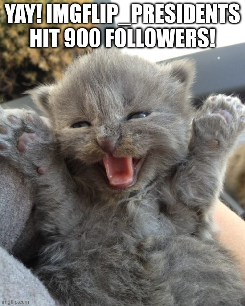 Yay Kitty | YAY! IMGFLIP_PRESIDENTS HIT 900 FOLLOWERS! | image tagged in memes,imgflip,imgflip_presidents | made w/ Imgflip meme maker