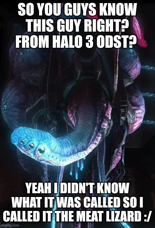 I called it "the meat lizard" | SO YOU GUYS KNOW THIS GUY RIGHT? FROM HALO 3 ODST? YEAH I DIDN'T KNOW WHAT IT WAS CALLED SO I CALLED IT THE MEAT LIZARD :/ | image tagged in halo | made w/ Imgflip meme maker