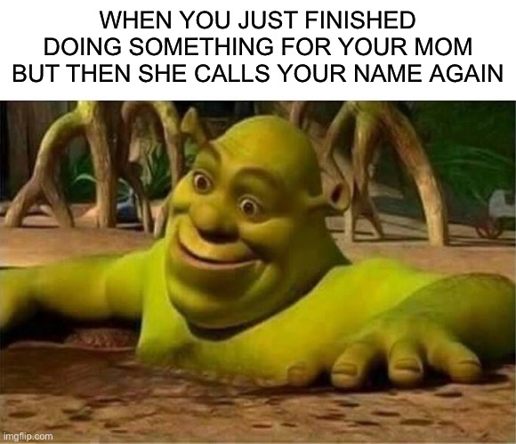 Happens all the time | WHEN YOU JUST FINISHED DOING SOMETHING FOR YOUR MOM BUT THEN SHE CALLS YOUR NAME AGAIN | image tagged in shrek,memes,funny,funny memes,shrek memes | made w/ Imgflip meme maker