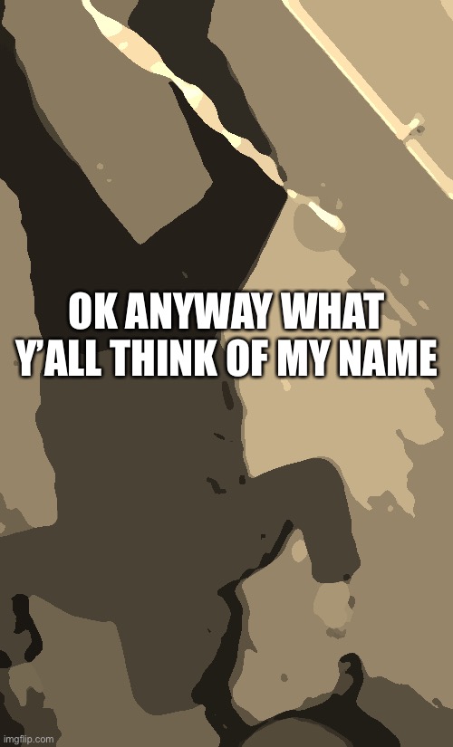 Peevish username: N.ikka.the.niga | OK ANYWAY WHAT Y’ALL THINK OF MY NAME | image tagged in balls,human supremacy | made w/ Imgflip meme maker