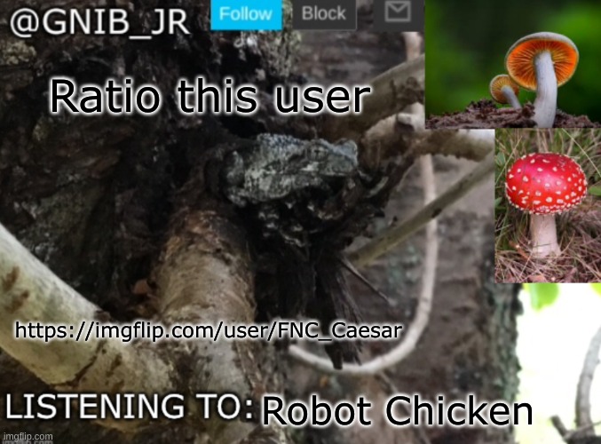 time to ratio | Ratio this user; https://imgflip.com/user/FNC_Caesar; Robot Chicken | image tagged in gnib_jr's new temp | made w/ Imgflip meme maker
