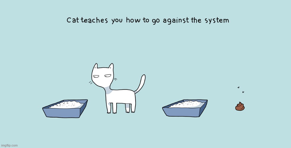 A Cat's Way Of Thinking | image tagged in memes,comics,cats,teaching,against,system | made w/ Imgflip meme maker