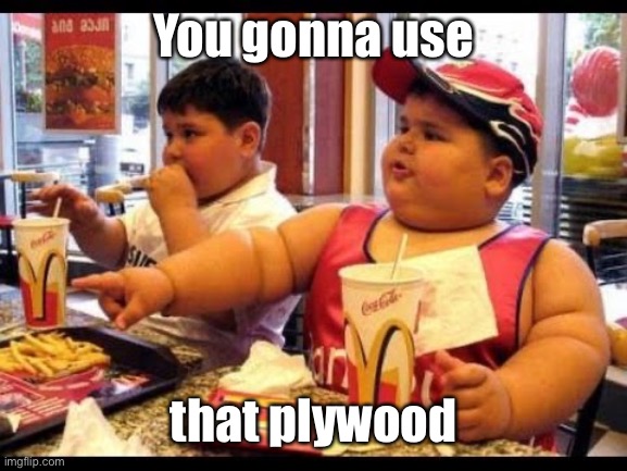 are you gonna eat that | You gonna use that plywood | image tagged in are you gonna eat that | made w/ Imgflip meme maker