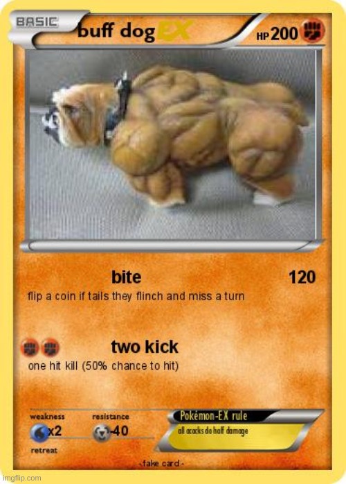 Buff dog | image tagged in dog | made w/ Imgflip meme maker