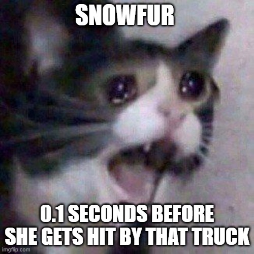 Cat Screaming | SNOWFUR; 0.1 SECONDS BEFORE SHE GETS HIT BY THAT TRUCK | image tagged in cat screaming | made w/ Imgflip meme maker