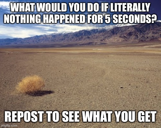 Rating slander #3 | WHAT WOULD YOU DO IF LITERALLY NOTHING HAPPENED FOR 5 SECONDS? REPOST TO SEE WHAT YOU GET | image tagged in desert tumbleweed,balls,human supremacy | made w/ Imgflip meme maker