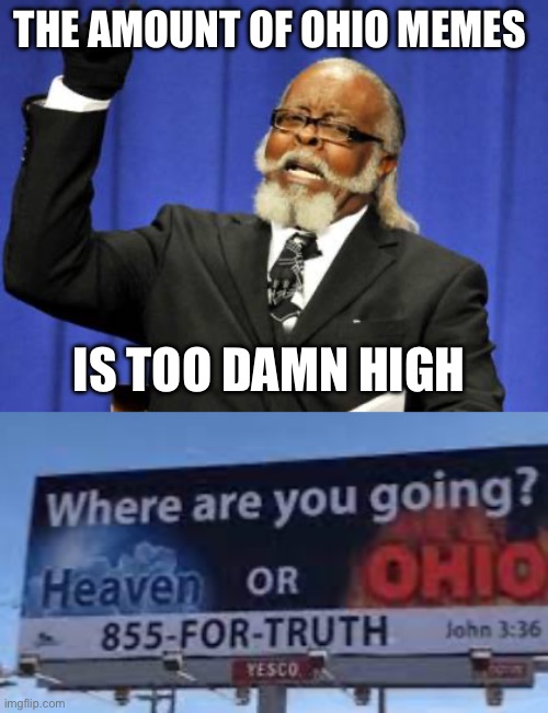 THE AMOUNT OF OHIO MEMES; IS TOO DAMN HIGH | image tagged in memes,too damn high | made w/ Imgflip meme maker