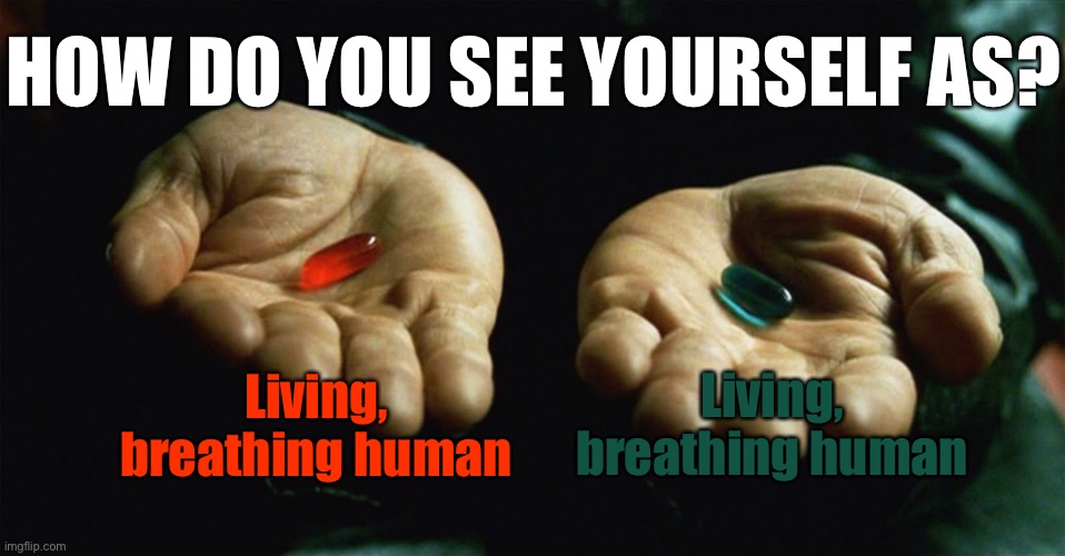 There is no other pill. You cannot bring another pill with you. You must choose one by law | HOW DO YOU SEE YOURSELF AS? Living, breathing human; Living, breathing human | image tagged in red pill blue pill,balls,human supremacy,memes,2 buttons | made w/ Imgflip meme maker