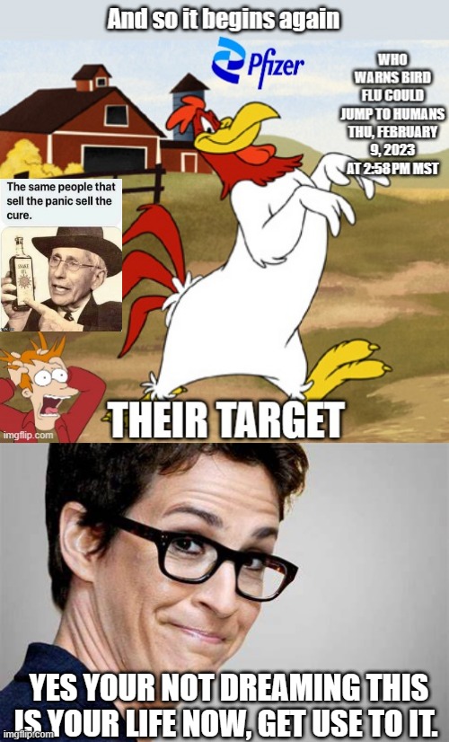 YES YOUR NOT DREAMING THIS IS YOUR LIFE NOW, GET USE TO IT. | made w/ Imgflip meme maker