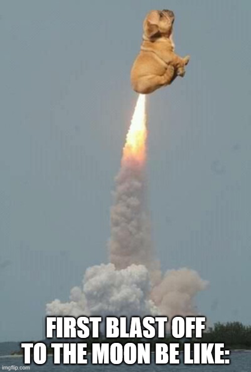 dog fart | FIRST BLAST OFF TO THE MOON BE LIKE: | image tagged in dog fart | made w/ Imgflip meme maker