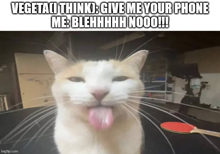 Milly the silly cat Bleh Cat | VEGETA(I THINK): GIVE ME YOUR PHONE
ME: BLEHHHHH NOOO!!! | image tagged in milly the silly cat bleh cat | made w/ Imgflip meme maker